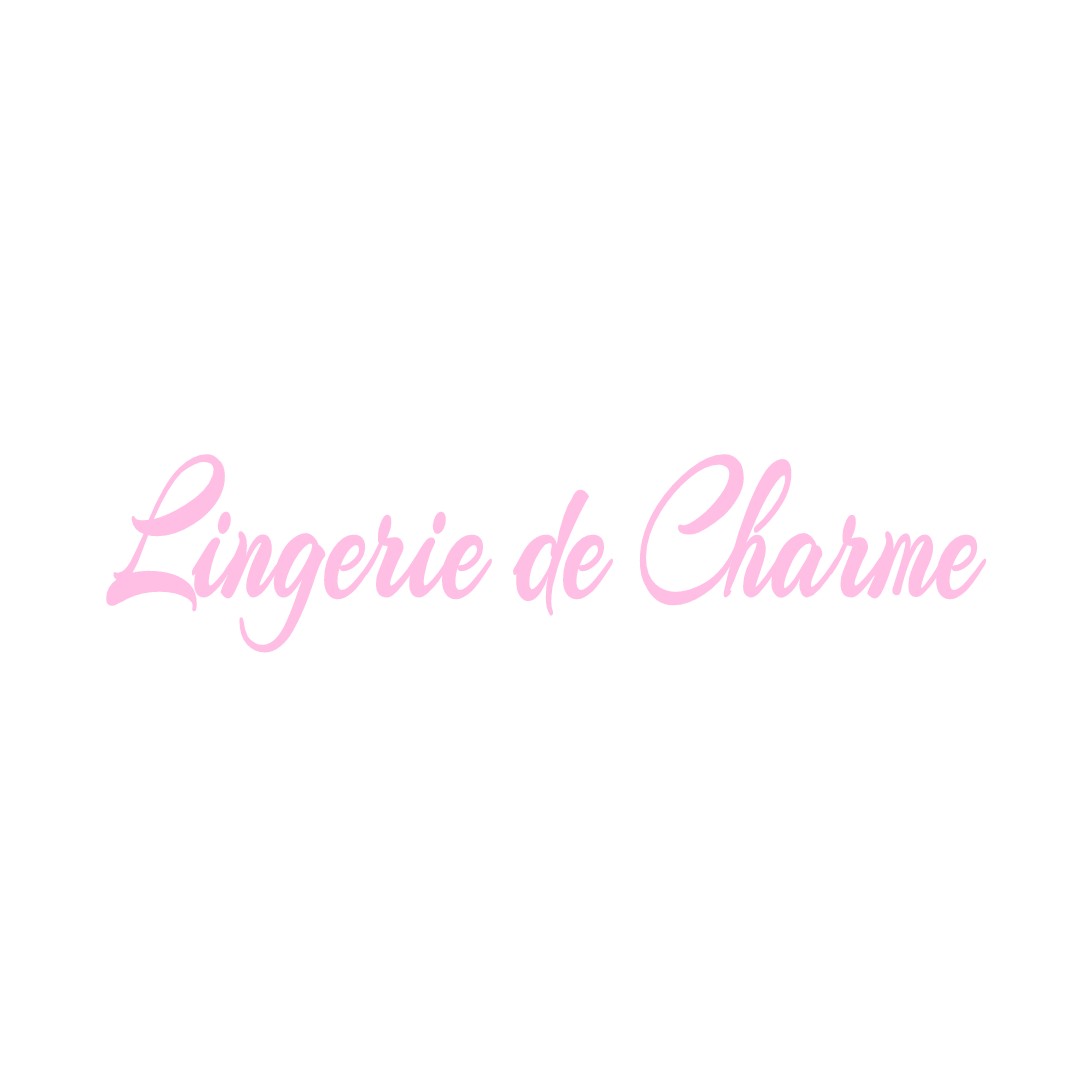 LINGERIE DE CHARME SAINT-REMY-LA-VARENNE